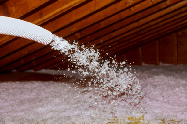 Professional Insulation Contractor in Pistakee Highlands, IL