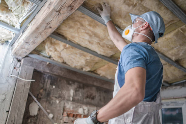 Best Blown-in Insulation in Pistakee Highlands, IL