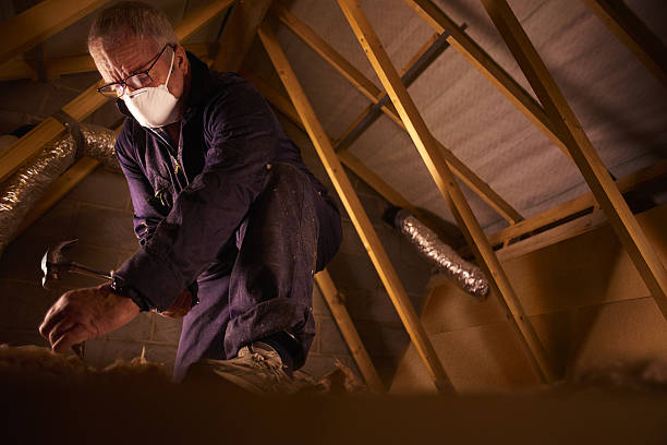 Types of Insulation We Offer in Pistakee Highlands, IL